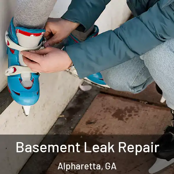  Basement Leak Repair Alpharetta, GA