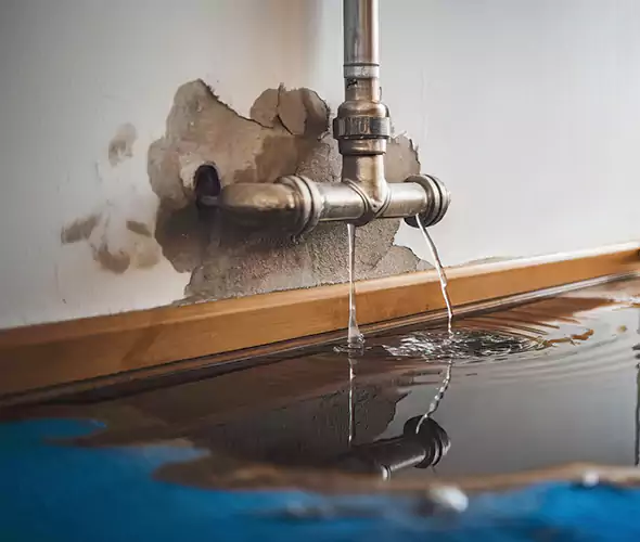 Professional Water Damage Restoration Experts in Alpharetta, GA — Fast, Reliable & Certified