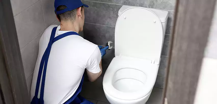 Toilet Lid Replacement in Alpharetta