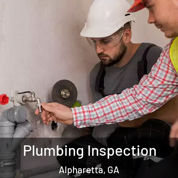  Plumbing Inspection Alpharetta, GA