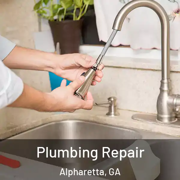  Plumbing Repair Alpharetta, GA