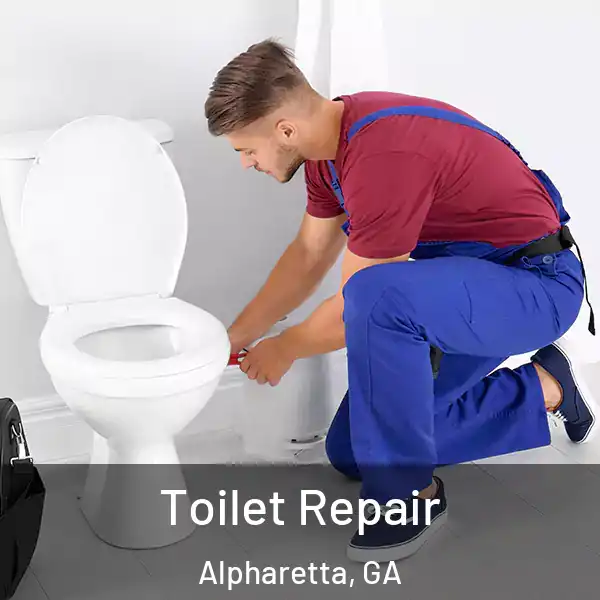  Toilet Repair Alpharetta, GA